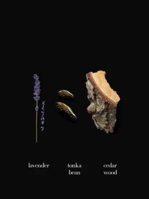 Armanni Code Profumo Perfume (125 ml)