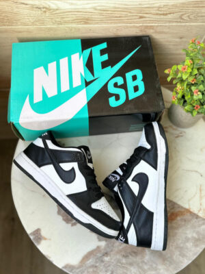 Nike sb dunk low ankle premium sports sneaker