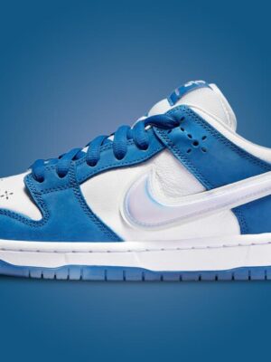 Nike sb dunk low ankle premium sports sneaker