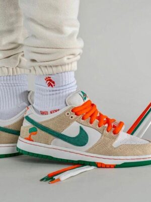 Nike sb dunk low ankle premium sports sneaker