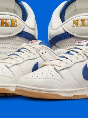 Nike sb dunk low ankle premium sports sneaker